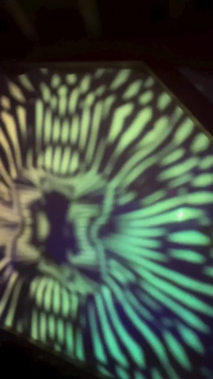 Mystic Creatures – An analog projector on which guests created their own light show for the dance floor.